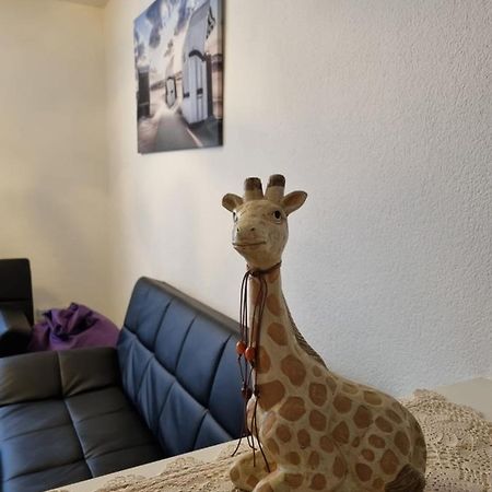 Monteurwohnung App 5 Pirmasens Εξωτερικό φωτογραφία